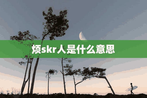 烦skr人是什么意思